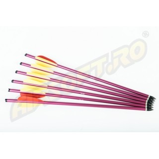 ADVANCE GROUP DARDI PER BALESTRA IN ALLUMINIO 14 POLLICI - 6 PZ