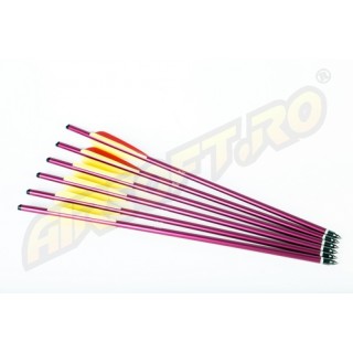 ADVANCE GROUP DARDI PER BALESTRA IN ALLUMINIO 16 POLLICI - 6 PZ