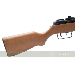 PPSH1 WITH BLOW-BACK
