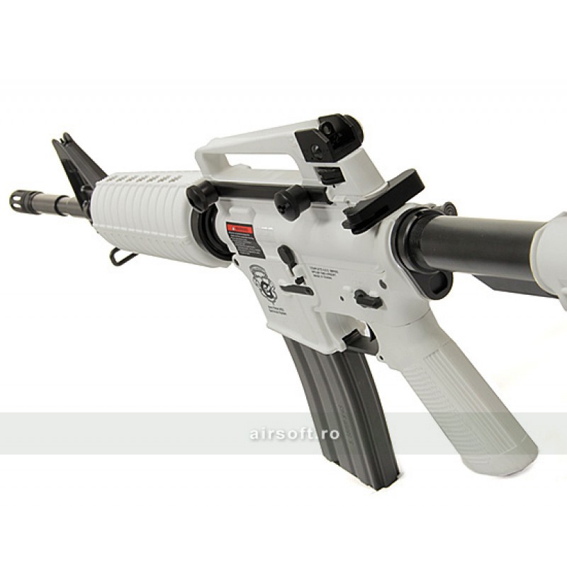 CHIONE 16 BLOW-BACK COMBO