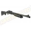 Shotgun/Fucili a pompa
