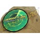 CAPPELLINO BASEBALL COYOTE