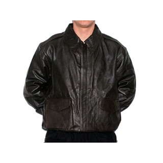U.S. MODEL LEATHER JACKET A2