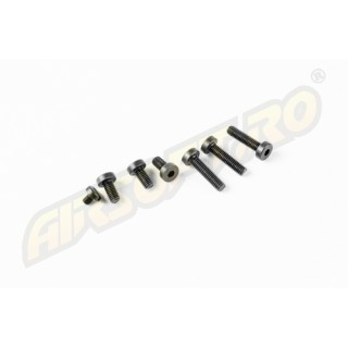 RETRO ARMS SET DI VITI PER GEARBOX RETRO ARMS V3
