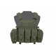 WARRIOR ASSAULT SYSTEMS DCS M4 PLATE CARRIER - VERDE OD
