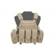 WARRIOR ASSAULT SYSTEMS DCS M4 PLATE CARRIER - COYOTE TAN